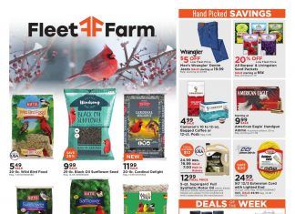 Fleet Farm Weekly Ad Feb 21 – Feb 29, 2020