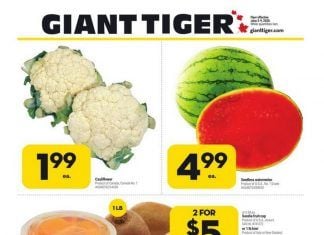 Giant Tiger Weekly Ad Jun 03 – Jun 09, 2020