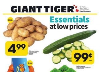 Giant Tiger Weekly Ad June 10 – June 16, 2020