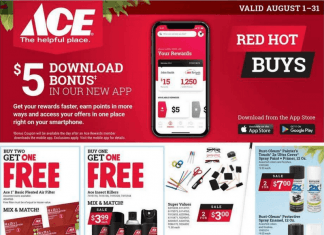 ACE Hardware Monthly Ad Aug 01 – Aug 31, 2020