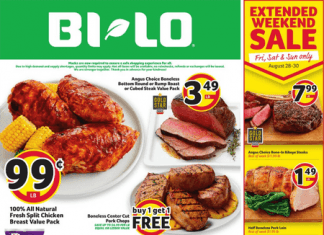 BI-LO Weekly Circular Aug 26- Sep 01, 2020