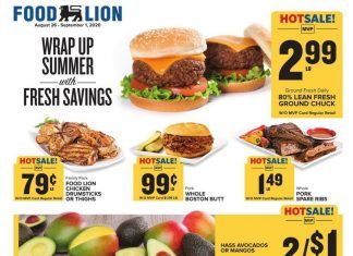 Food Lion Weekly Ad Aug 26 – Sep 01, 2020