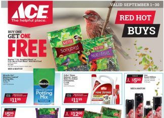 ACE Hardware Monthly Ad Sep 01 – Sep 30, 2020