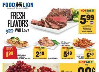 Food Lion Weekly Ad Sep 09 – Sep 15, 2020