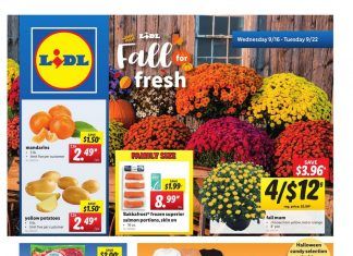 Lidl Weekly Ad Sep 16 – Sep 22, 2020