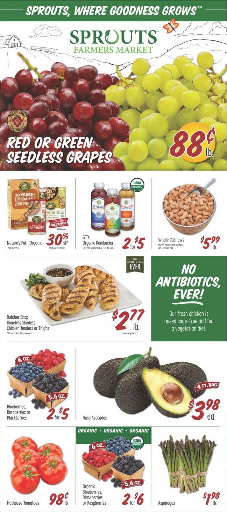 sprouts weeklyadpro