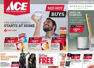 ACE Hardware Monthly Ad Oct 01 – Oct 31, 2020