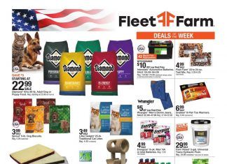 Fleet Farm Weekly Ad Oct 30 – Nov 07, 2020