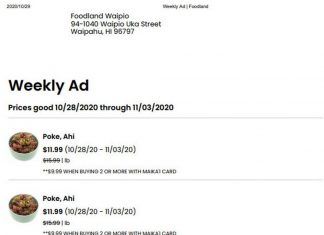 Foodland Super Market Weekly Ad Oct 28 – Nov 03, 2020