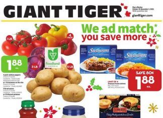 Giant Tiger Weekly Ad Oct 28 – Nov 3, 2020