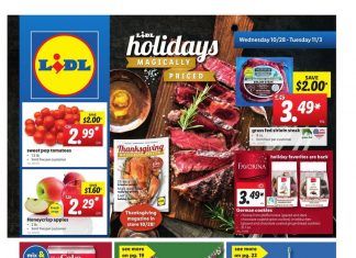 Lidl Weekly Ad Oct 28 – Nov 03, 2020