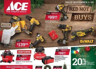 ACE Hardware Monthly Ad Nov 01 – Nov 30, 2020