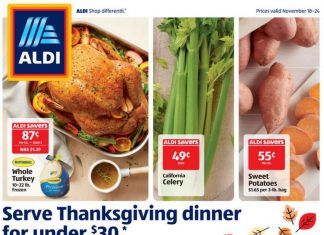 ALDI Weekly Ad Nov 18 – Nov 24, 2020