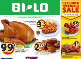 BI-LO Weekly Circular Nov 04 – Nov 10, 2020