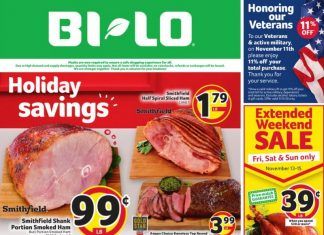 BI-LO Weekly Circular Nov 11 – Nov 17, 2020