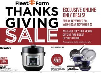 Fleet Farm Thanksgiving Ad Nov 20 – Nov 25, 2020
