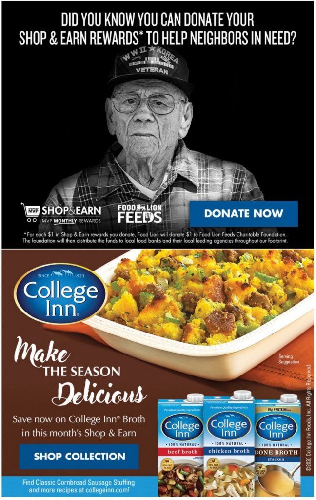 Food Lion Weekly Ad Nov 27 Dec 01, 2020