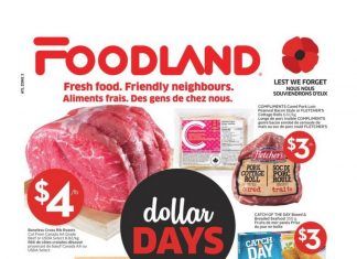 Foodland(Canada) Weekly Ad Nov 05 – Nov 11, 2020