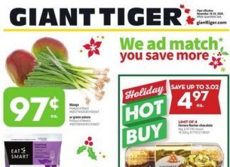 Giant Tiger Weekly Ad Nov 18 – Nov 24, 2020