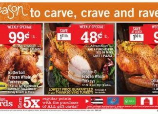 Price Chopper Weekly Ad Nov 15 – Nov 22, 2020