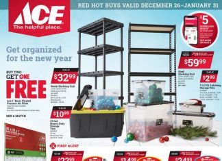 ACE Hardware Monthly Ad Dec 26, 2020 – Jan 31, 2021