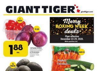 Giant Tiger Weekly Ad Dec 23 – Dec 29, 2020