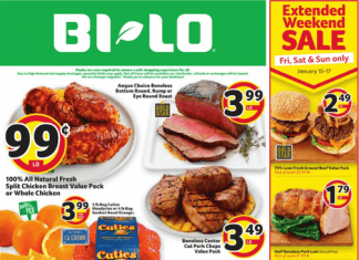 BI-LO Weekly Ad Jan 13 – Jan 19, 2021