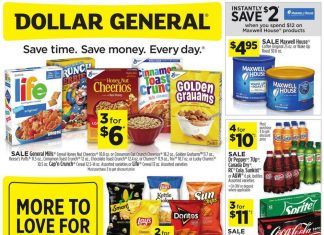 Dollar General Weekly Ad Jan 17 – Jan 23, 2021