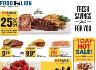 Food Lion Weekly Ad Jan 06 – Jan 12, 2021