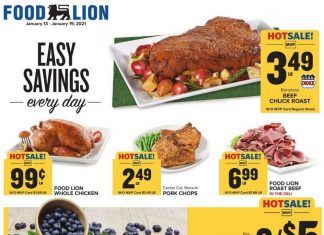 Food Lion Weekly Ad Jan 13 – Jan 19, 2021