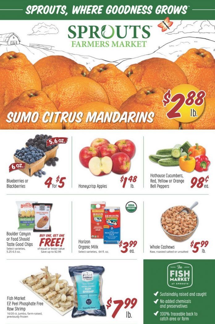 Sprouts Weekly Ad Jan 27 Feb 02, 2021