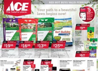 ACE Hardware Monthly Ad Feb 01 – Feb 28, 2021