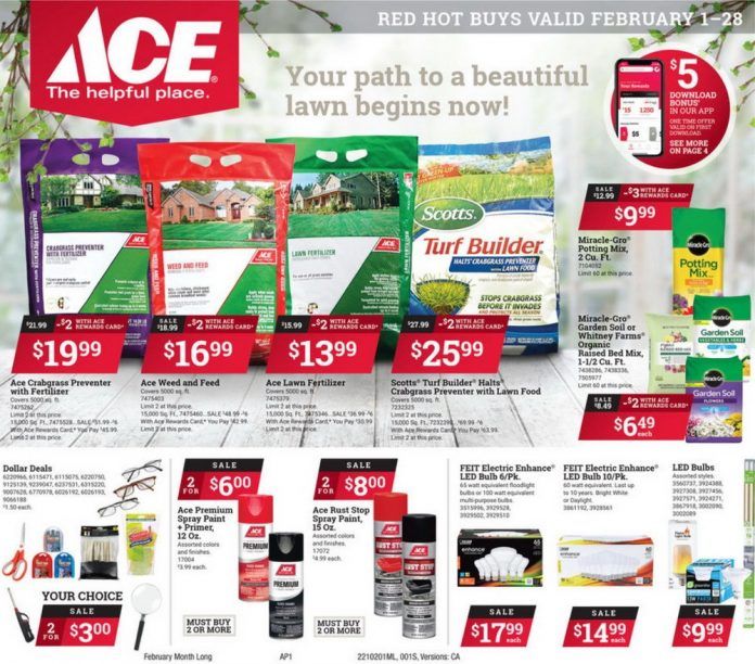 ACE Hardware Monthly Ad Feb 01 Feb 28, 2021