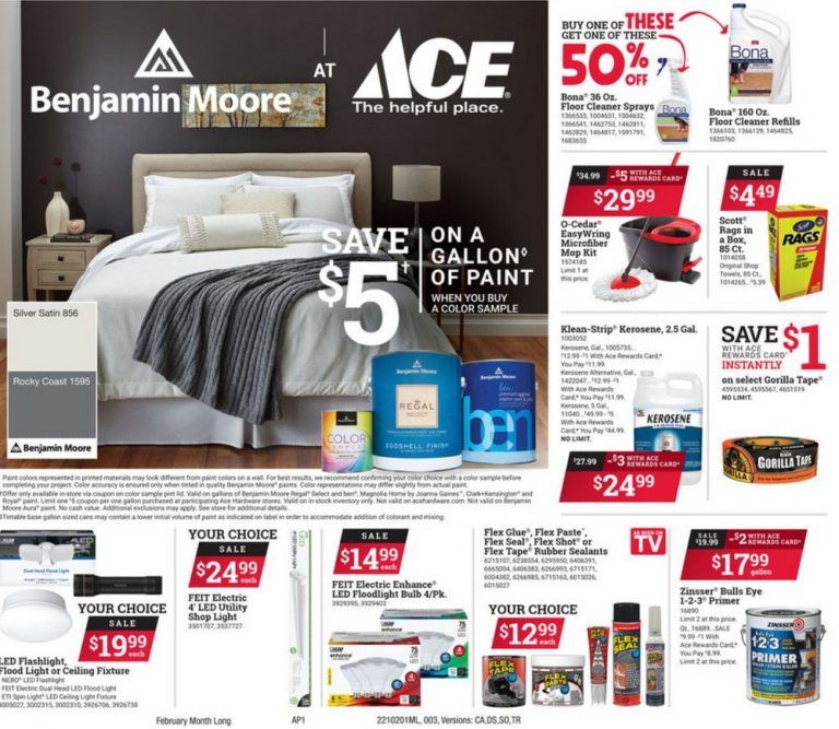 ACE Hardware Monthly Ad Feb 01 Feb 28, 2021
