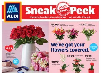 ALDI In-store Ad Sneak Peek Feb 10 – Feb 16, 2021