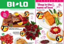 BI-LO Weekly Ad Feb 10 – Feb 16, 2021