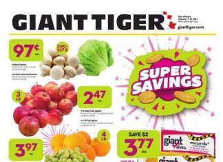 Giant Tiger Weekly Ad Feb 17 – Feb 23, 2021