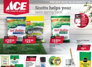 ACE Hardware Monthly Ad Mar 01 – Mar 31, 2021