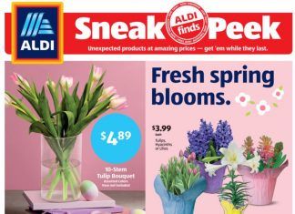 ALDI In-store Ad Sneak Peek Mar 31 – Apr 06, 2021