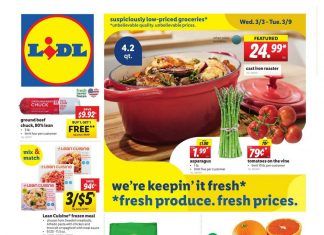Lidl Weekly Ad Mar 03 – Mar 09, 2021