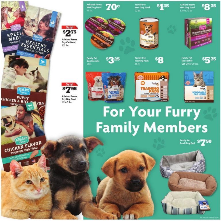 Family Dollar Weekly Ad Apr 04 Apr 10, 2021