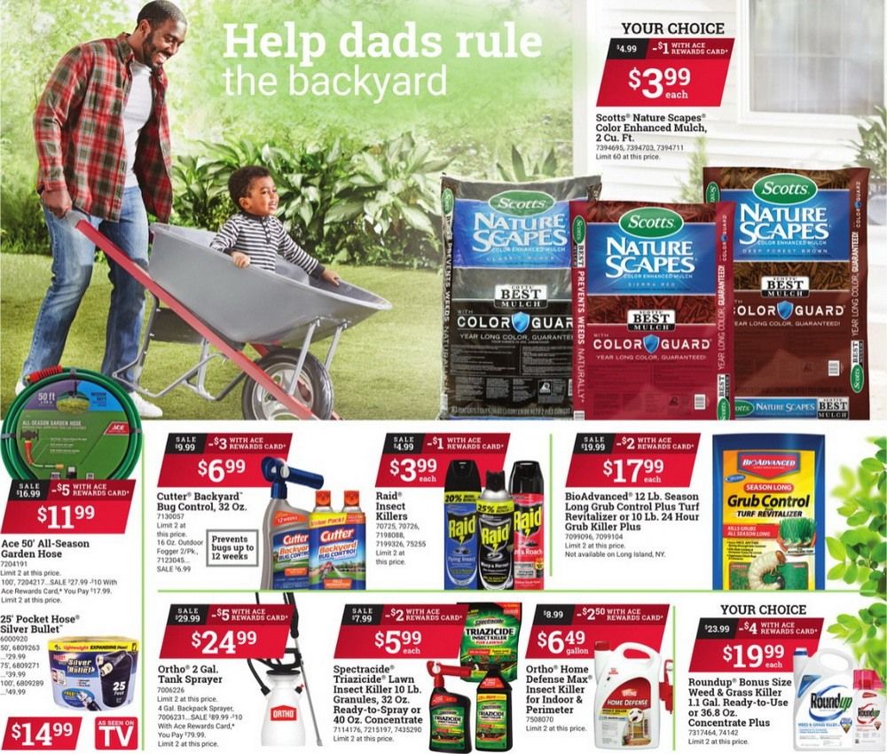 ACE Hardware Monthly Ad June 01 June 29, 2021