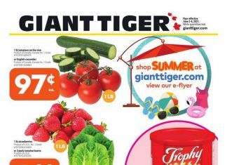 Giant Tiger Weekly Ad June 02 – June 08, 2021