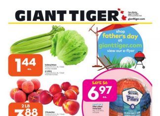Giant Tiger Weekly Ad June 09 – June 15, 2021
