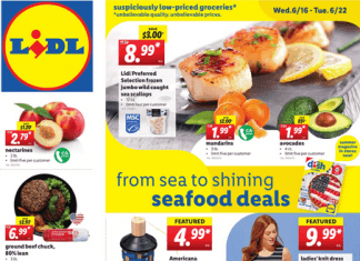 Lidl Weekly Ad Jun 16 – Jun 22, 2021