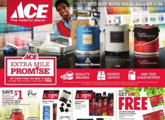 ACE Hardware Monthly Ad Aug 01 – Aug 31, 2021