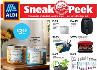 ALDI In-store Ad Sneak Peek Aug 11 – Aug 17, 2021