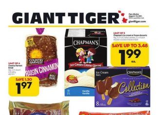 Giant Tiger Weekly Ad Aug 04 – Aug 10, 2021