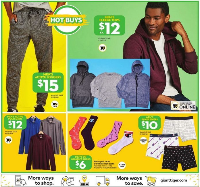 Giant Tiger Weekly Ad Aug 11 Aug 17, 2021