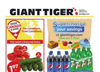 Giant Tiger Weekly Ad Aug 25 – Aug 31, 2021